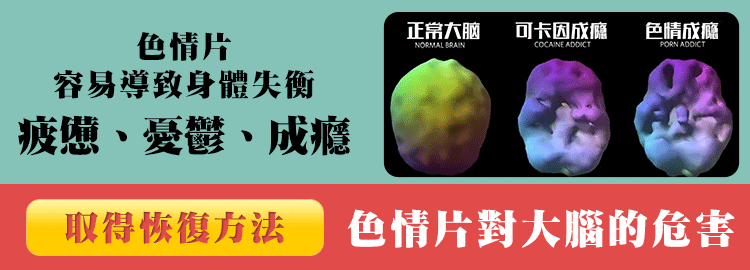 色情片对大脑危害