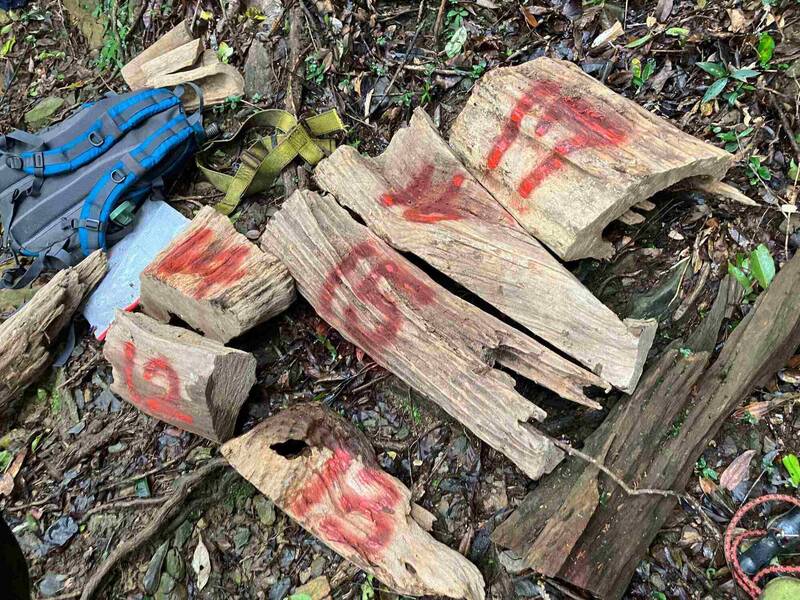 大獎娛樂城-免費快訊-一張發票露餡 警瓦解山老鼠集團