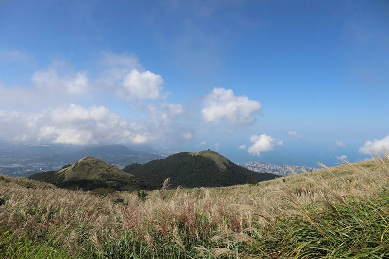 大獎娛樂城、大獎娛樂-線上新聞-【仙境秘境】陽明山「金色雪」大爆發！**大地處私藏「絕美C位」大公開！錯過只能再等一年！