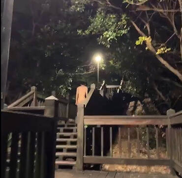 大獎娛樂城、大獎娛樂-線上新聞-崩潰！南港公園驚傳「野裸族」大會師！議員痛批：治安死角全面失守！