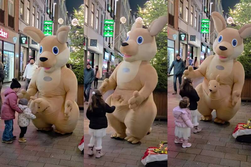 大獎娛樂城、大獎娛樂-線上新聞-太母湯！袋鼠親子現身街頭「做出驚人動作」！全網一看影片瞬間壞笑！澳洲人崩潰：牠們怎麼了