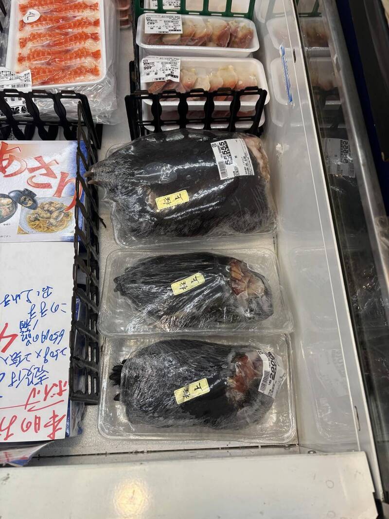 大獎娛樂城、大獎娛樂-線上新聞-獵奇到極點！日本超市竟公然販售「整隻帶毛熊掌」！價格曝光嚇翻全網！網驚：這是要怎麼煮？