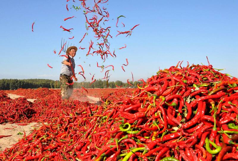 大獎娛樂城、大獎娛樂-線上新聞-偷吃外送還敢告？中國屁孩偷到「變態辣」慘送醫，家長厚臉皮討賠償引全網公憤